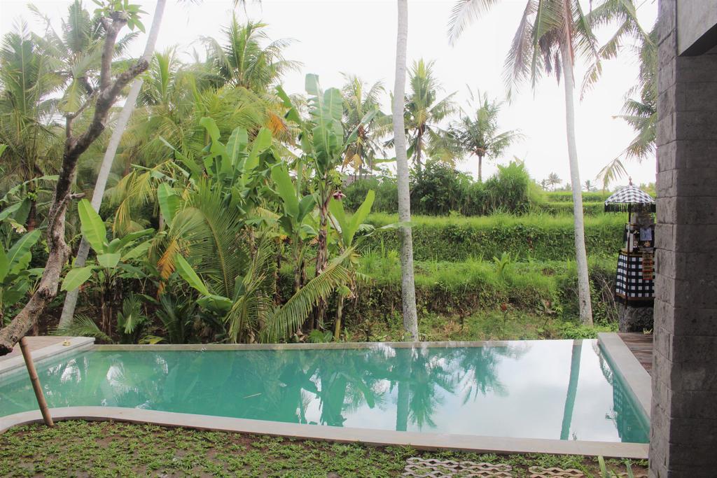 Ila Villa Ubud Exteriér fotografie